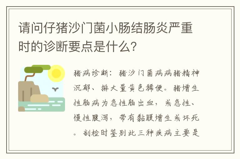 请问仔猪沙门菌小肠结肠炎严重时的诊断要点是什么？