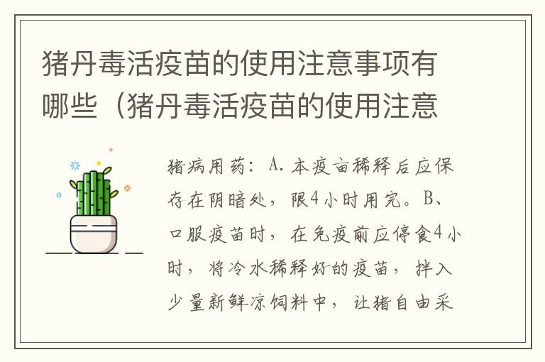 猪丹毒活疫苗的使用注意事项有哪些（猪丹毒活疫苗的使用注意事项有哪些症状）