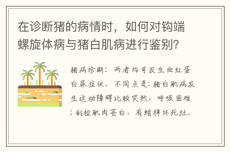 在诊断猪的病情时，如何对钩端螺旋体病与猪白肌病进行鉴别？