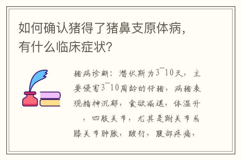 如何确认猪得了猪鼻支原体病，有什么临床症状？