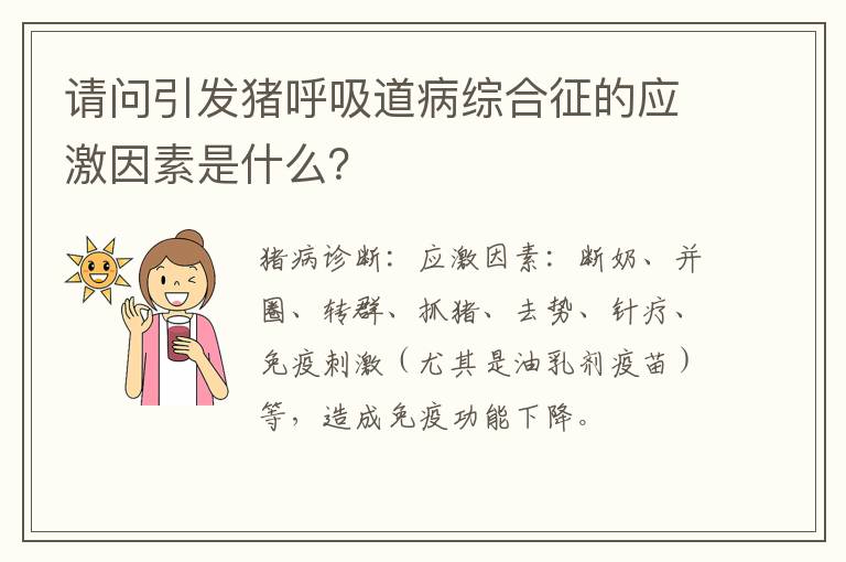 请问引发猪呼吸道病综合征的应激因素是什么？