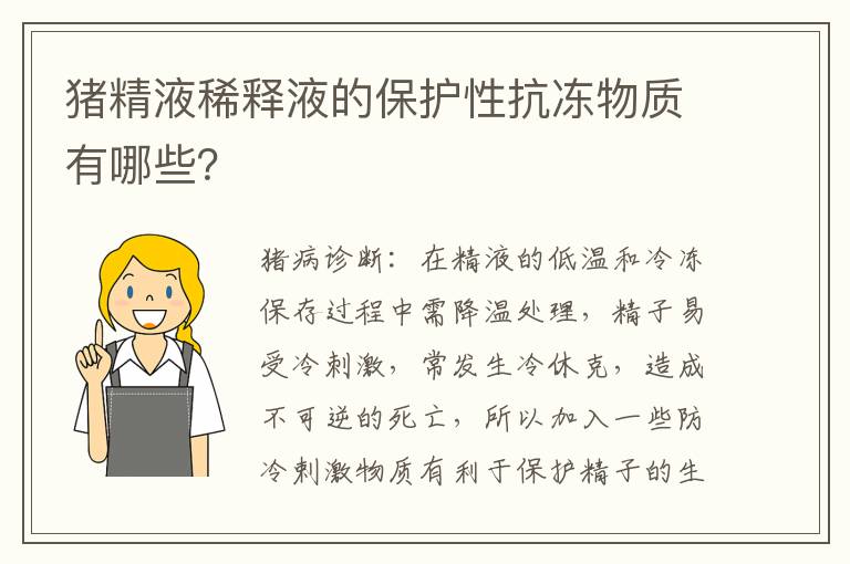 猪精液稀释液的保护性抗冻物质有哪些？