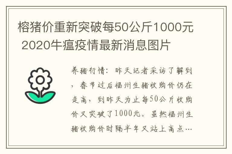 榕猪价重新突破每50公斤1000元 2020牛瘟疫情最新消息图片