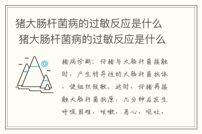 猪大肠杆菌病的过敏反应是什么 猪大肠杆菌病的过敏反应是什么症状