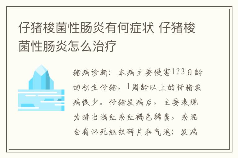 仔猪梭菌性肠炎有何症状 仔猪梭菌性肠炎怎么治疗