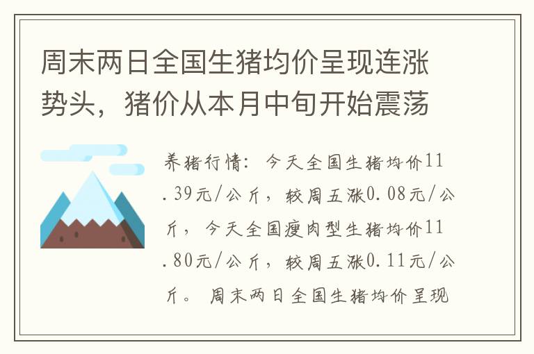 周末两日全国生猪均价呈现连涨势头，猪价从本月中旬开始震荡反弹