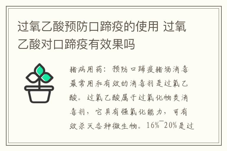 过氧乙酸预防口蹄疫的使用 过氧乙酸对口蹄疫有效果吗