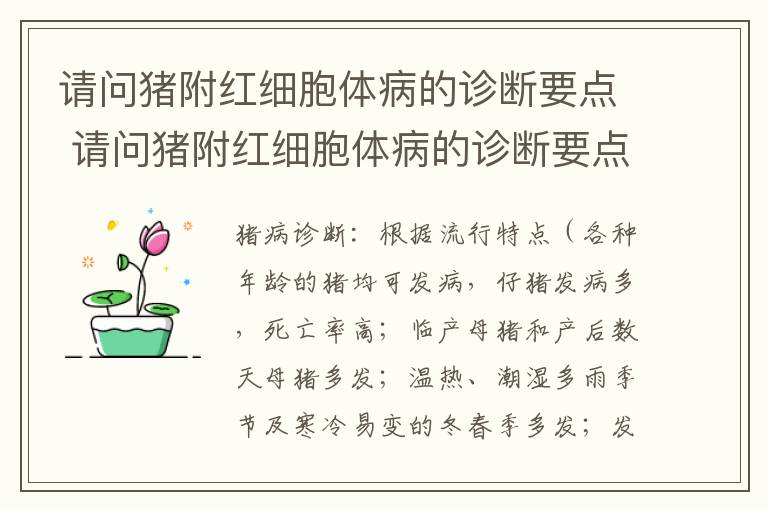 请问猪附红细胞体病的诊断要点 请问猪附红细胞体病的诊断要点是什么?