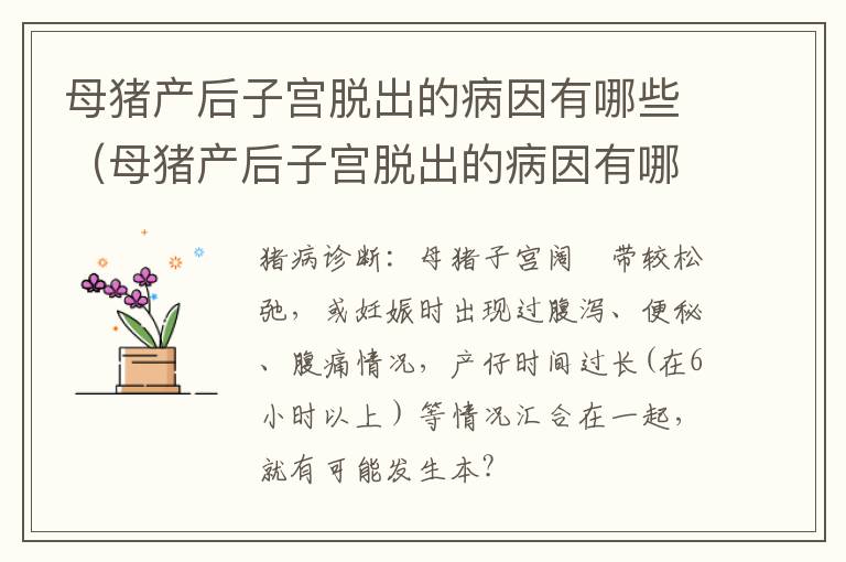 母猪产后子宫脱出的病因有哪些（母猪产后子宫脱出的病因有哪些症状）