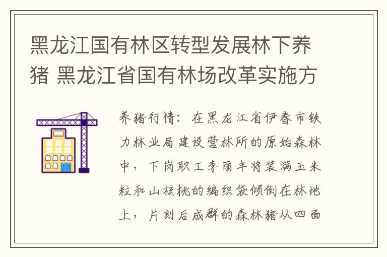 黑龙江国有林区转型发展林下养猪 黑龙江省国有林场改革实施方案