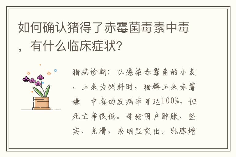 如何确认猪得了赤霉菌毒素中毒，有什么临床症状？