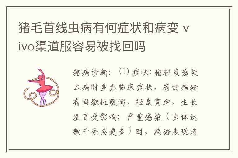 猪毛首线虫病有何症状和病变 vivo渠道服容易被找回吗