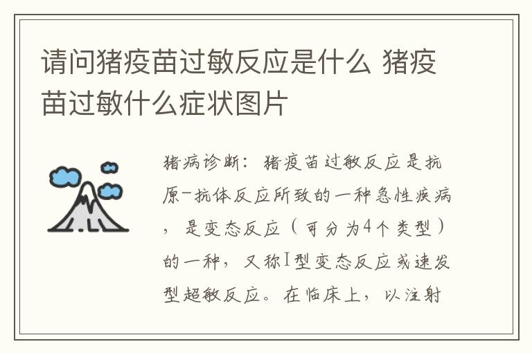 请问猪疫苗过敏反应是什么 猪疫苗过敏什么症状图片