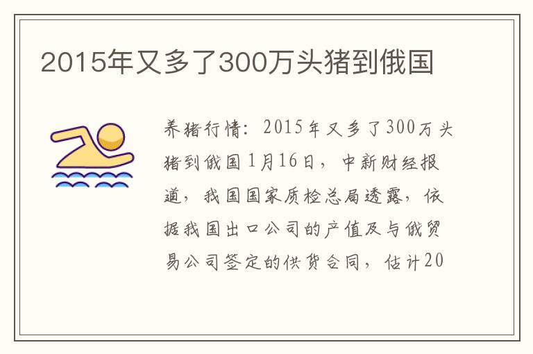 2015年又多了300万头猪到俄国