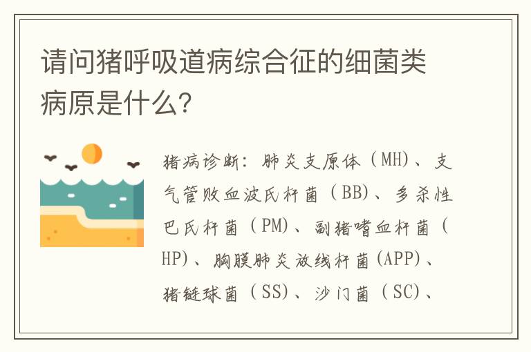 请问猪呼吸道病综合征的细菌类病原是什么？