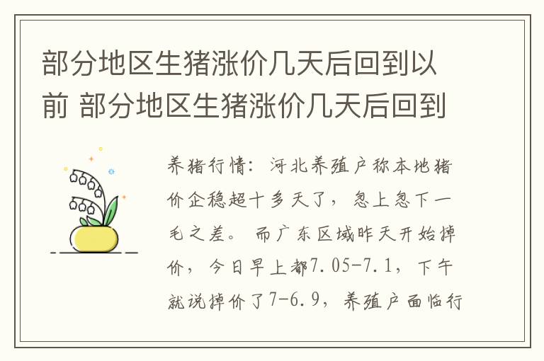 部分地区生猪涨价几天后回到以前 部分地区生猪涨价几天后回到以前的地方