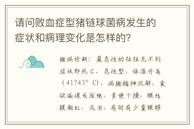 请问败血症型猪链球菌病发生的症状和病理变化是怎样的？