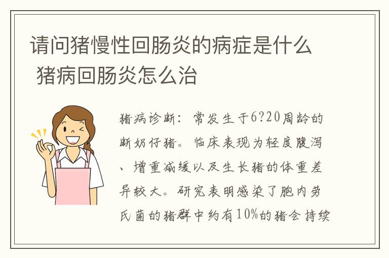 请问猪慢性回肠炎的病症是什么 猪病回肠炎怎么治