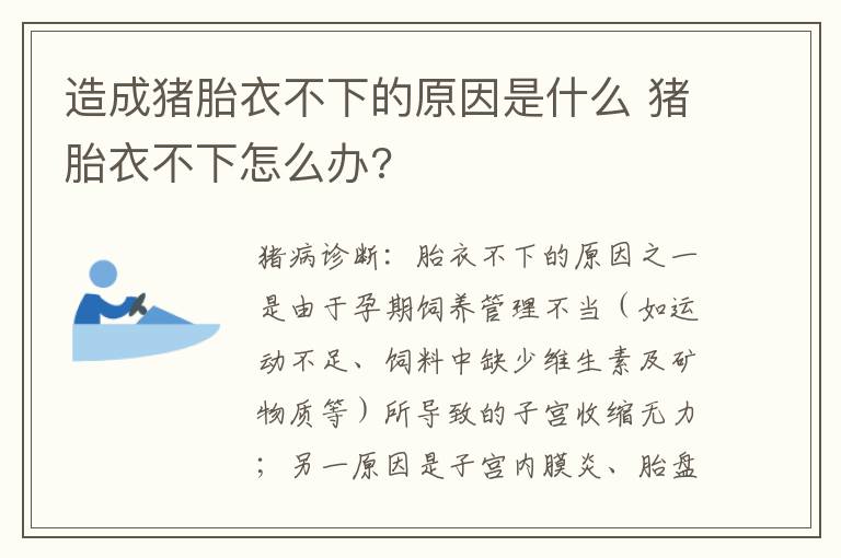 造成猪胎衣不下的原因是什么 猪胎衣不下怎么办?