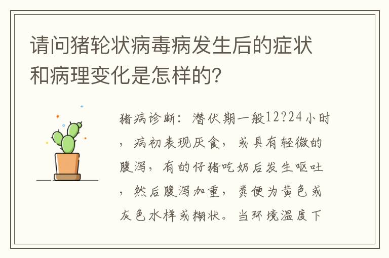 请问猪轮状病毒病发生后的症状和病理变化是怎样的？