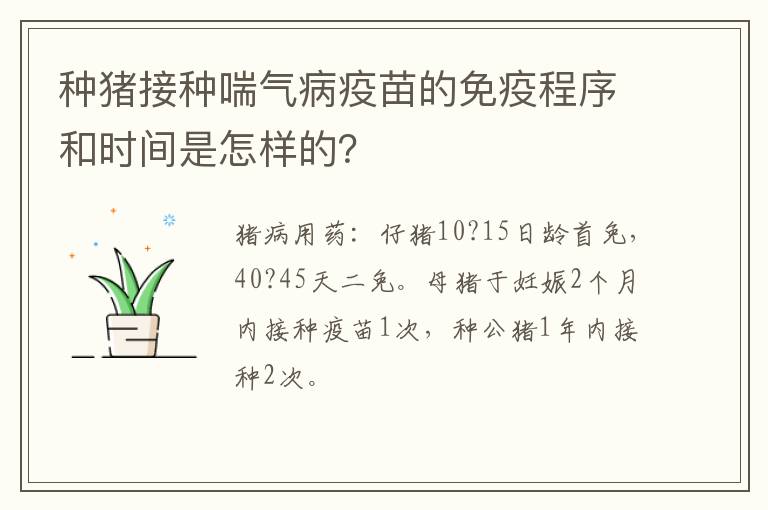 种猪接种喘气病疫苗的免疫程序和时间是怎样的？