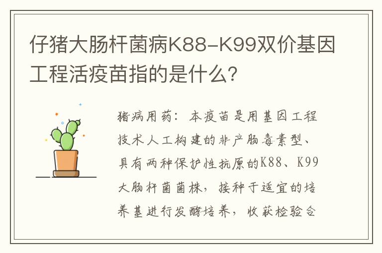 仔猪大肠杆菌病K88-K99双价基因工程活疫苗指的是什么？