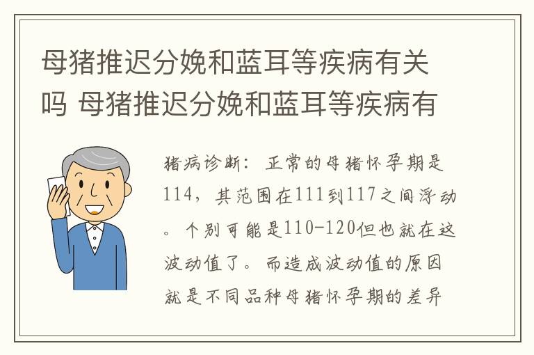 母猪推迟分娩和蓝耳等疾病有关吗 母猪推迟分娩和蓝耳等疾病有关吗