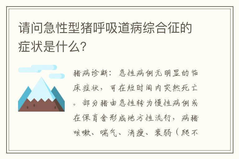 请问急性型猪呼吸道病综合征的症状是什么？