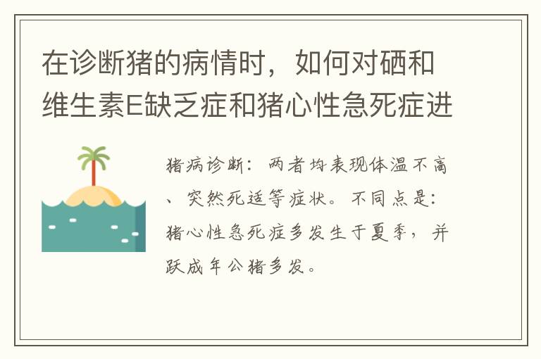 在诊断猪的病情时，如何对硒和维生素E缺乏症和猪心性急死症进行鉴