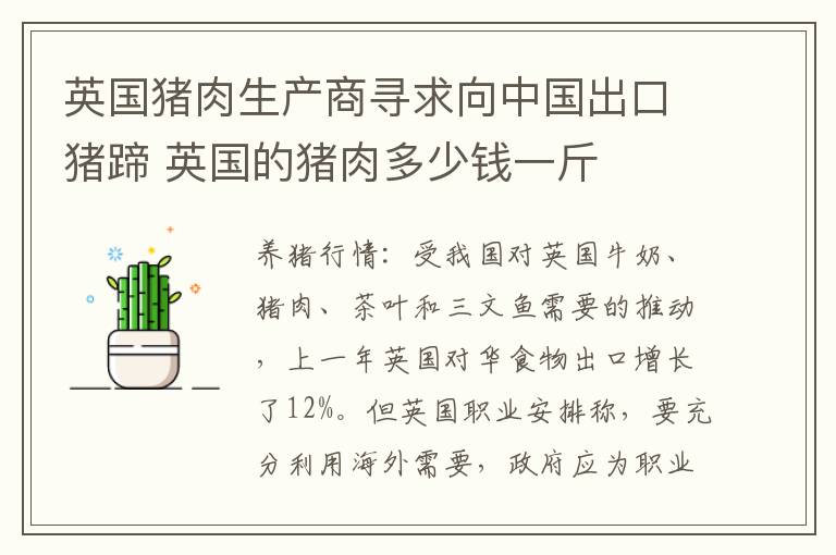 英国猪肉生产商寻求向中国出口猪蹄 英国的猪肉多少钱一斤