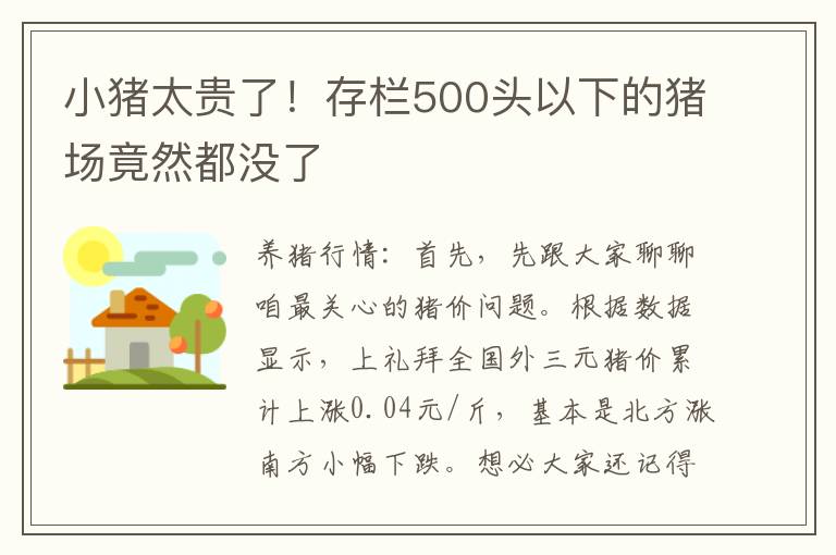 小猪太贵了！存栏500头以下的猪场竟然都没了