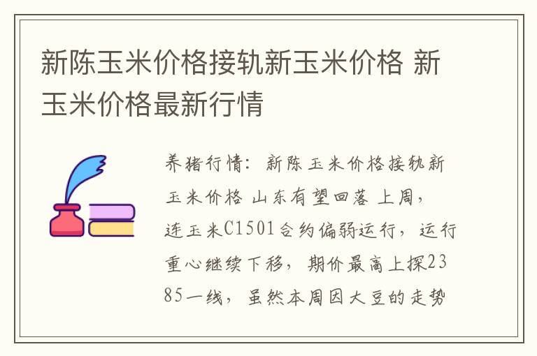 新陈玉米价格接轨新玉米价格 新玉米价格最新行情