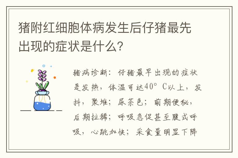 猪附红细胞体病发生后仔猪最先出现的症状是什么？