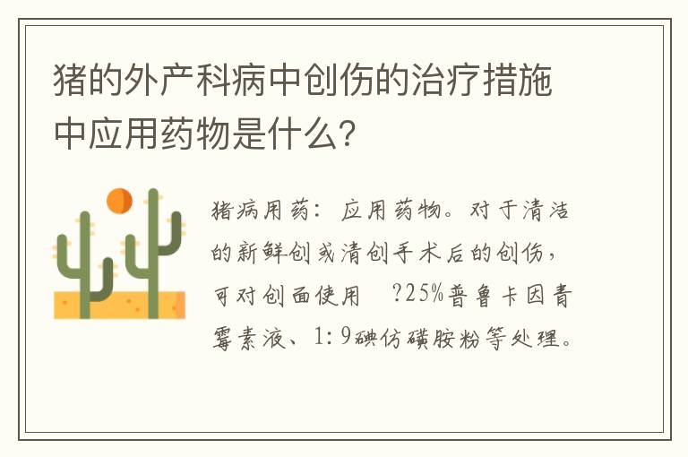 猪的外产科病中创伤的治疗措施中应用药物是什么？