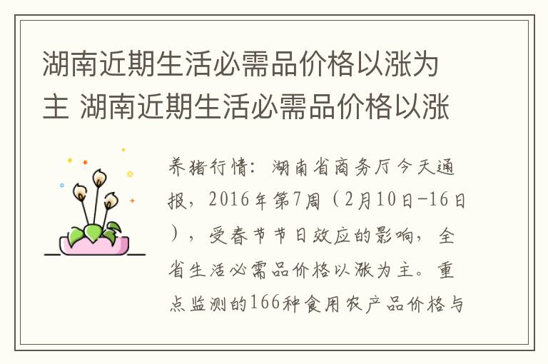 湖南近期生活必需品价格以涨为主 湖南近期生活必需品价格以涨为主吗