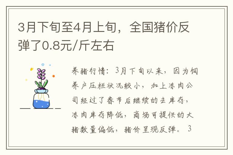 3月下旬至4月上旬，全国猪价反弹了0.8元/斤左右