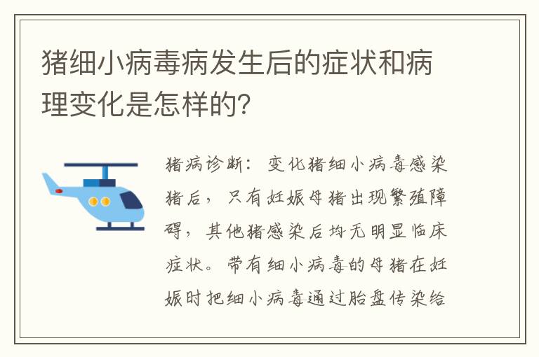 猪细小病毒病发生后的症状和病理变化是怎样的？