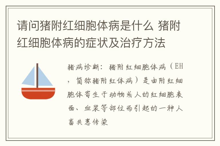 请问猪附红细胞体病是什么 猪附红细胞体病的症状及治疗方法