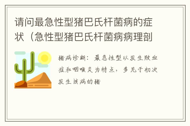 请问最急性型猪巴氏杆菌病的症状（急性型猪巴氏杆菌病病理剖检的重要特征为）