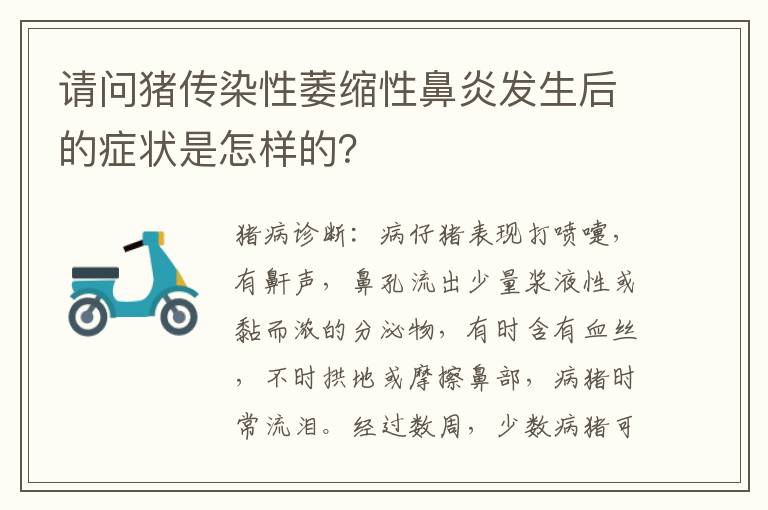 请问猪传染性萎缩性鼻炎发生后的症状是怎样的？