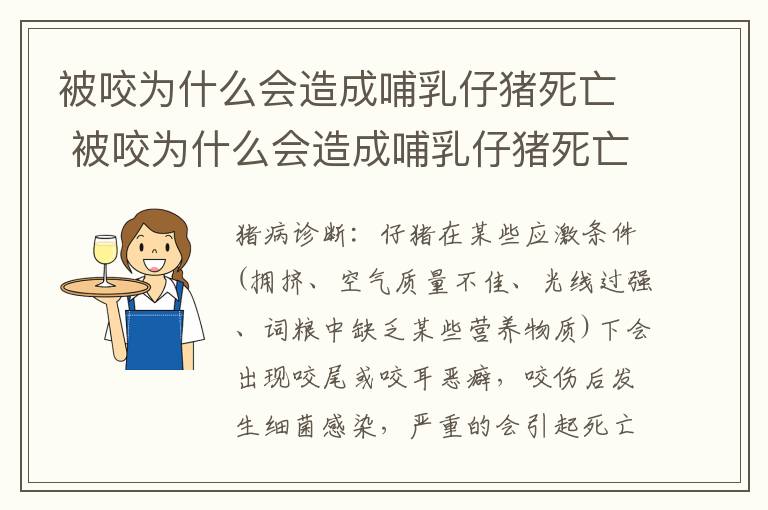 被咬为什么会造成哺乳仔猪死亡 被咬为什么会造成哺乳仔猪死亡的原因