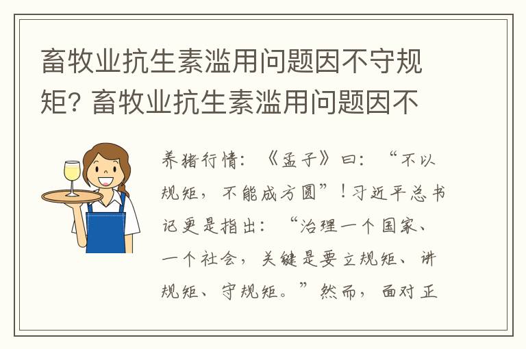 畜牧业抗生素滥用问题因不守规矩? 畜牧业抗生素滥用问题因不守规矩的原因