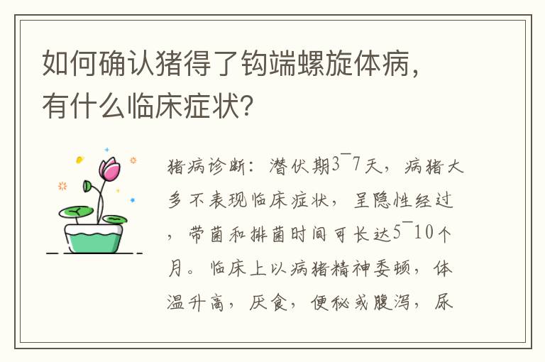 如何确认猪得了钩端螺旋体病，有什么临床症状？