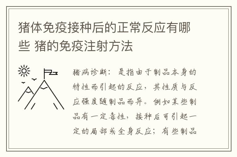 猪体免疫接种后的正常反应有哪些 猪的免疫注射方法