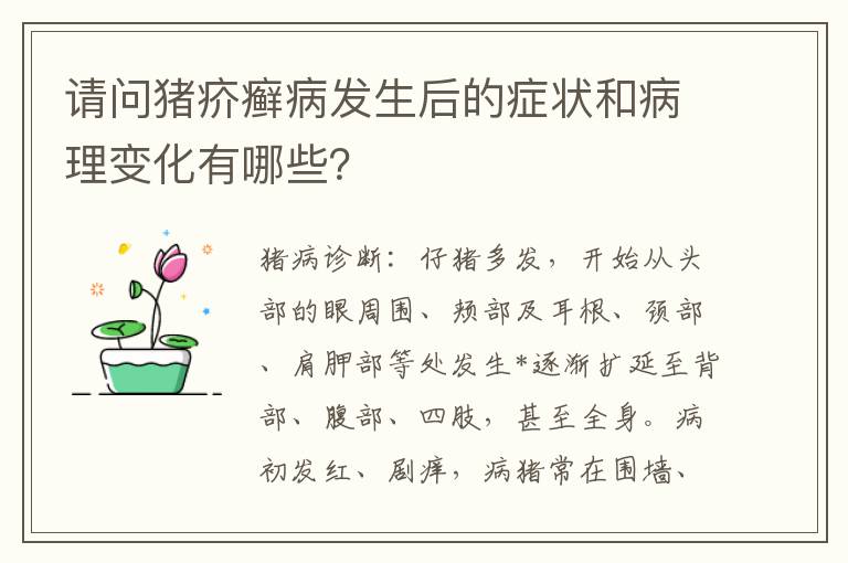 请问猪疥癣病发生后的症状和病理变化有哪些？