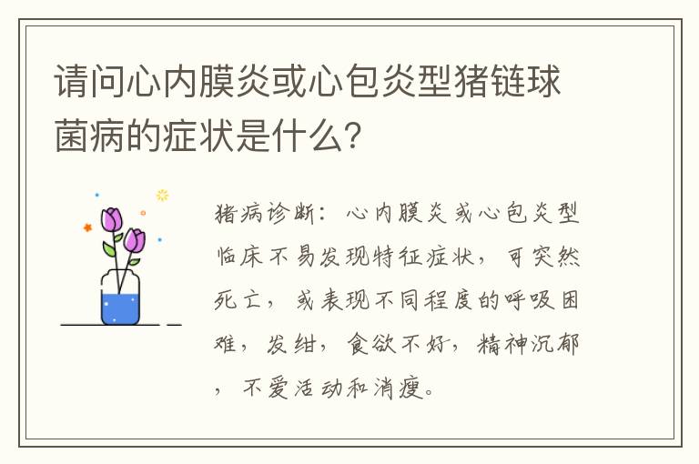 请问心内膜炎或心包炎型猪链球菌病的症状是什么？