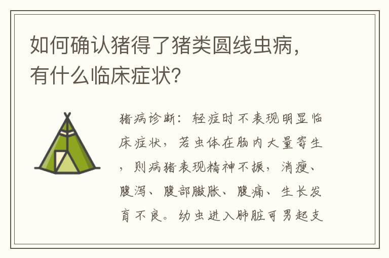 如何确认猪得了猪类圆线虫病，有什么临床症状？