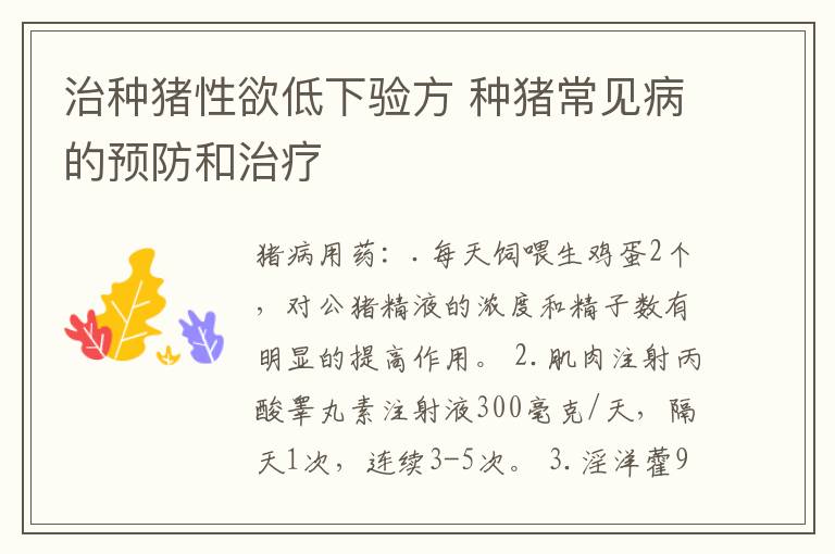 治种猪性欲低下验方 种猪常见病的预防和治疗