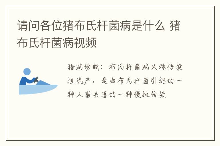 请问各位猪布氏杆菌病是什么 猪布氏杆菌病视频