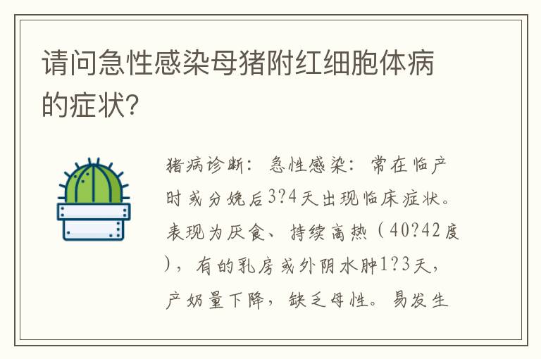 请问急性感染母猪附红细胞体病的症状？